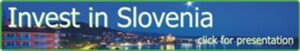 Tempus Babnik | Invest in Slovenia